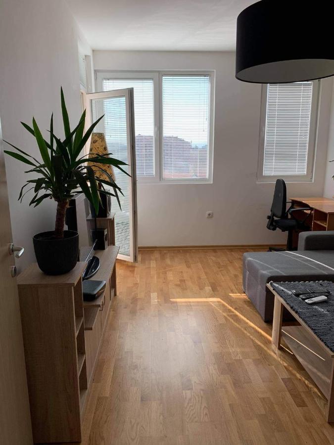 Apartman Aleksic Ni Extérieur photo