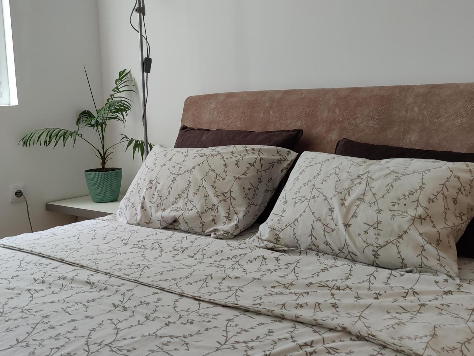 Apartman Aleksic Ni Extérieur photo